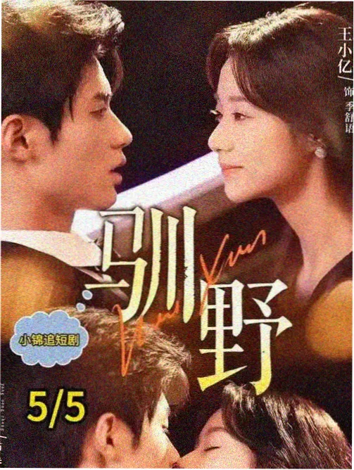 山海食堂剧集海报